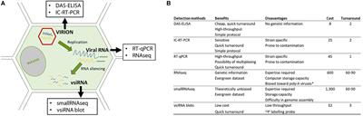 Comparison of Serological and Molecular Methods With High-Throughput Sequencing for the Detection and Quantification of Grapevine Fanleaf Virus in Vineyard Samples